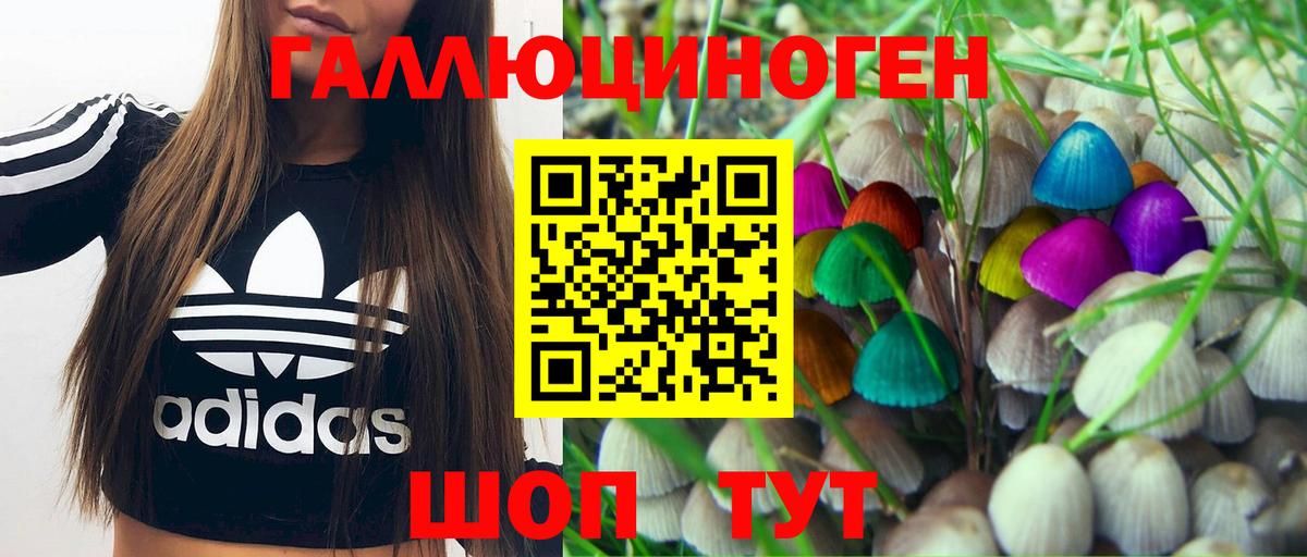 Псилоцибиновые грибы Psilocybe  Вход с VPN  Галлюциногенные грибы GOLDEN TEACHER  Красноуфимск 